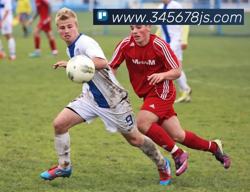 九游体育官网网页入口APP 封面图